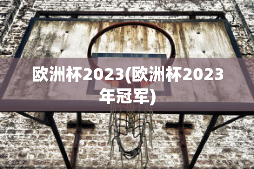 欧洲杯2023(欧洲杯2023年冠军)