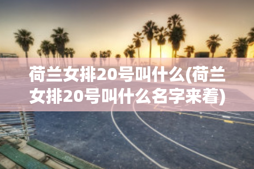 荷兰女排20号叫什么(荷兰女排20号叫什么名字来着)