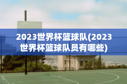 2023世界杯篮球队(2023世界杯篮球队员有哪些)