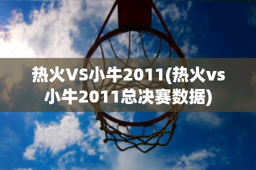 热火VS小牛2011(热火vs小牛2011总决赛数据)