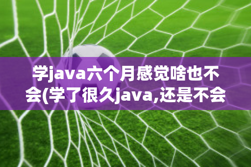 学java六个月感觉啥也不会(学了很久java,还是不会写)