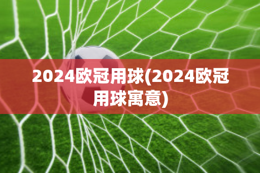 2024欧冠用球(2024欧冠用球寓意)