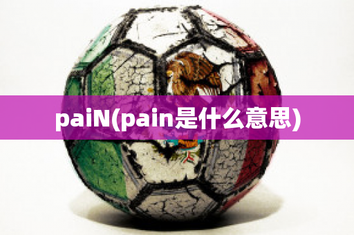 paiN(pain是什么意思)