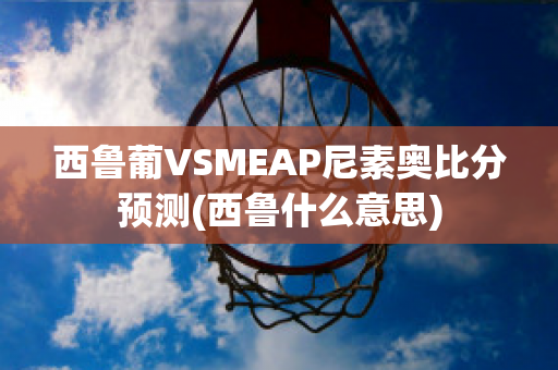 西鲁葡VSMEAP尼素奥比分预测(西鲁什么意思)