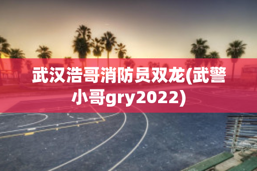 武汉浩哥消防员双龙(武警小哥gry2022)