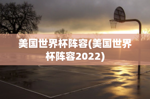 美国世界杯阵容(美国世界杯阵容2022)