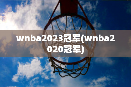 wnba2023冠军(wnba2020冠军)