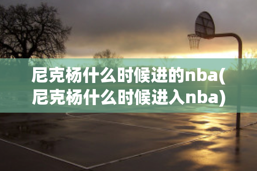 尼克杨什么时候进的nba(尼克杨什么时候进入nba)