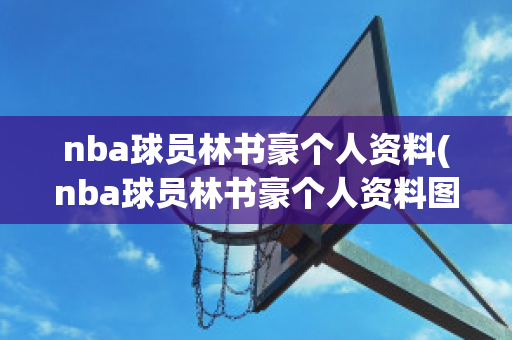 nba球员林书豪个人资料(nba球员林书豪个人资料图片)