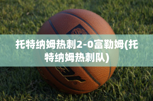 托特纳姆热刺2-0富勒姆(托特纳姆热刺队)