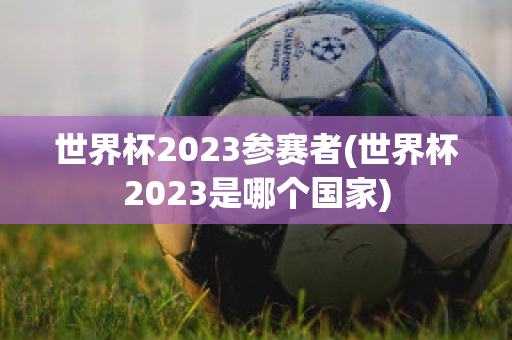 世界杯2023参赛者(世界杯2023是哪个国家)