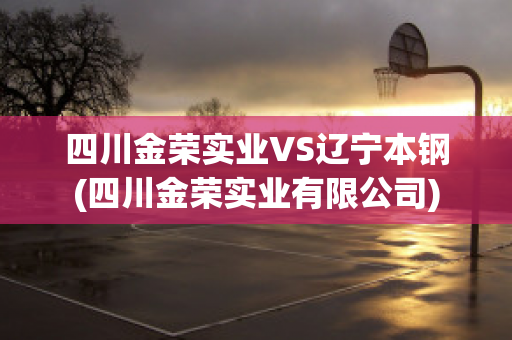 四川金荣实业VS辽宁本钢(四川金荣实业有限公司)