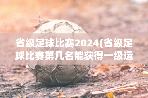 省级足球比赛2024(省级足球比赛第几名能获得一级运动员证)