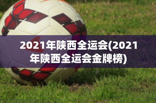 2021年陕西全运会(2021年陕西全运会金牌榜)