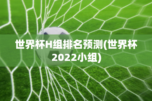 世界杯H组排名预测(世界杯2022小组)