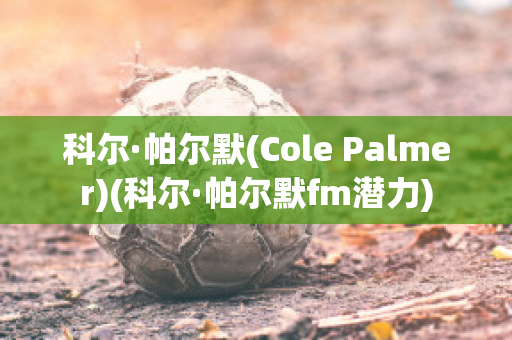 科尔·帕尔默(Cole Palmer)(科尔·帕尔默fm潜力)