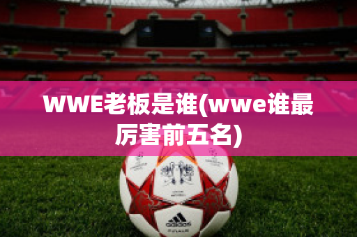 WWE老板是谁(wwe谁最厉害前五名)