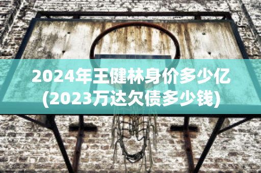 2024年王健林身价多少亿(2023万达欠债多少钱)