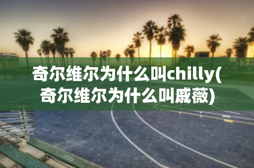 奇尔维尔为什么叫chilly(奇尔维尔为什么叫戚薇)