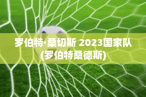 罗伯特·桑切斯 2023国家队(罗伯特桑德斯)