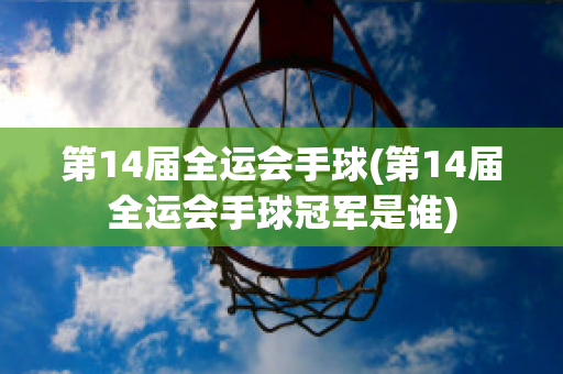 第14届全运会手球(第14届全运会手球冠军是谁)