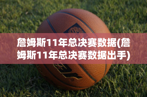 詹姆斯11年总决赛数据(詹姆斯11年总决赛数据出手)