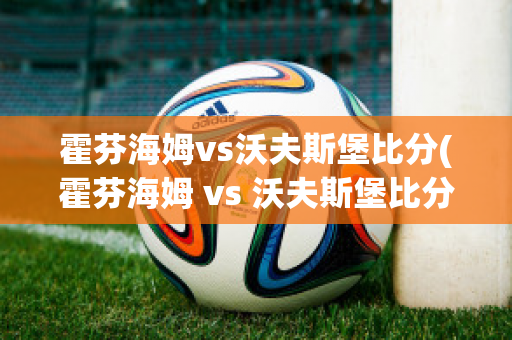 霍芬海姆vs沃夫斯堡比分(霍芬海姆 vs 沃夫斯堡比分)