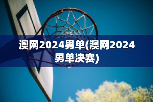 澳网2024男单(澳网2024男单决赛)