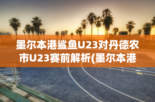 墨尔本港鲨鱼U23对丹德农市U23赛前解析(墨尔本港鲨鱼对休姆)