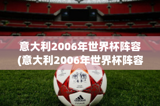 意大利2006年世界杯阵容(意大利2006年世界杯阵容表)