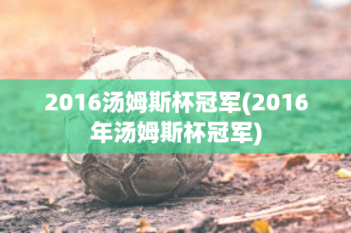 2016汤姆斯杯冠军(2016年汤姆斯杯冠军)