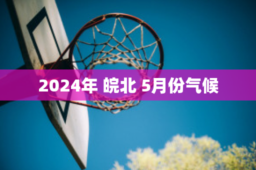 2024年 皖北 5月份气候