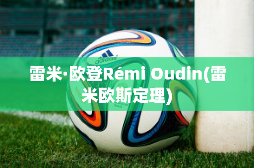 雷米·欧登Rémi Oudin(雷米欧斯定理)