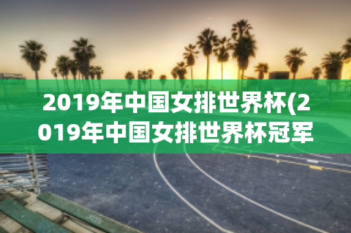 2019年中国女排世界杯(2019年中国女排世界杯冠军)