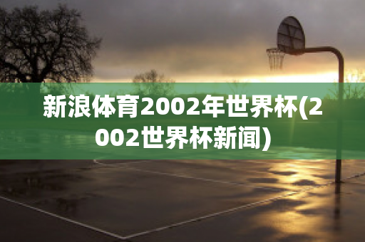 新浪体育2002年世界杯(2002世界杯新闻)