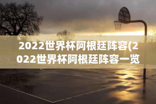 2022世界杯阿根廷阵容(2022世界杯阿根廷阵容一览)