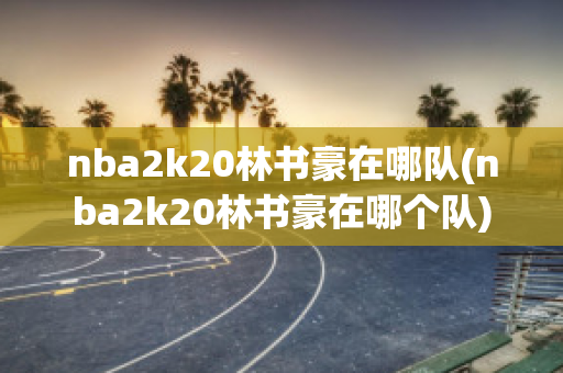 nba2k20林书豪在哪队(nba2k20林书豪在哪个队)