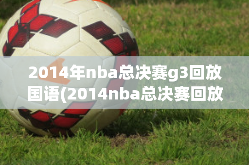 2014年nba总决赛g3回放国语(2014nba总决赛回放高清)