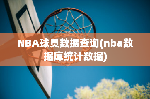 NBA球员数据查询(nba数据库统计数据)