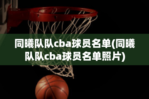 同曦队队cba球员名单(同曦队队cba球员名单照片)