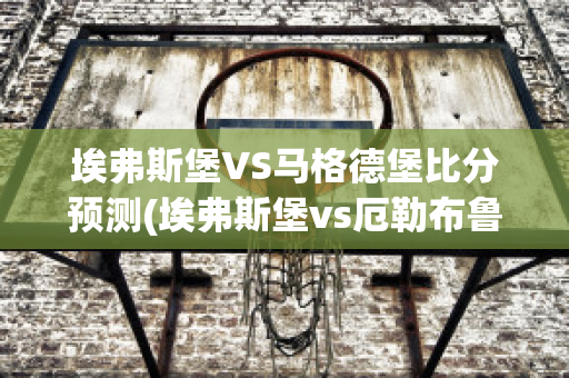 埃弗斯堡VS马格德堡比分预测(埃弗斯堡vs厄勒布鲁比分)