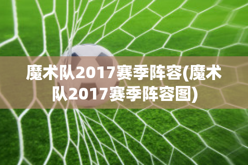 魔术队2017赛季阵容(魔术队2017赛季阵容图)