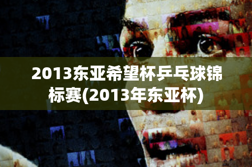 2013东亚希望杯乒乓球锦标赛(2013年东亚杯)