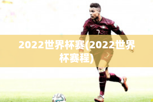 2022世界杯赛(2022世界杯赛程)