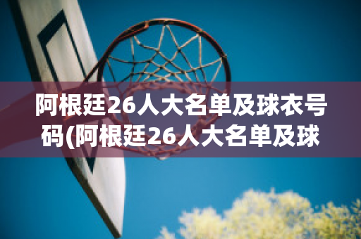 阿根廷26人大名单及球衣号码(阿根廷26人大名单及球衣号码英文)