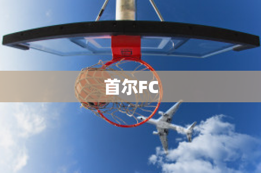 首尔FC