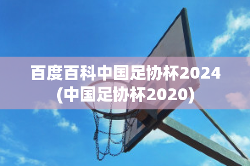 百度百科中国足协杯2024(中国足协杯2020)