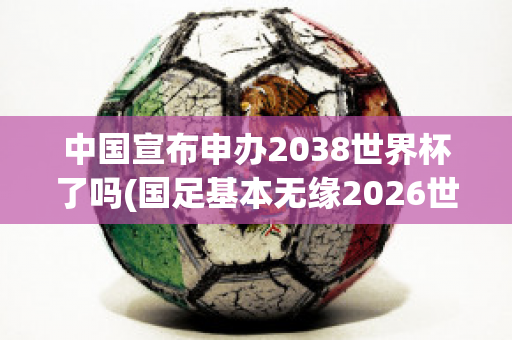 中国宣布申办2038世界杯了吗(国足基本无缘2026世界杯)