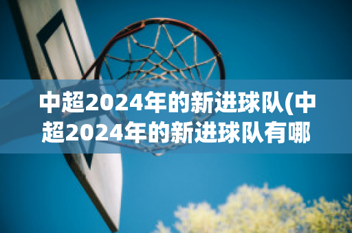 中超2024年的新进球队(中超2024年的新进球队有哪些)