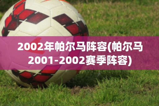 2002年帕尔马阵容(帕尔马2001-2002赛季阵容)